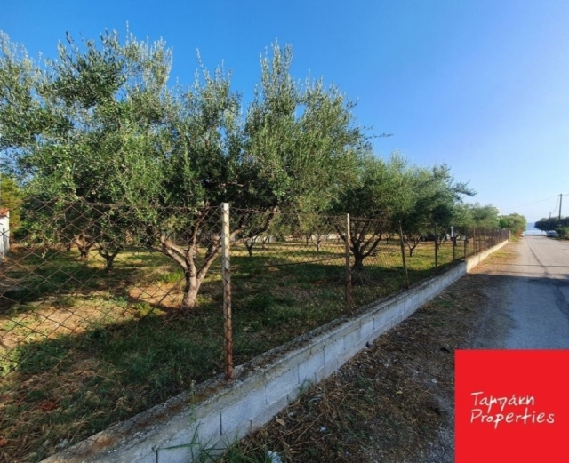 (For Sale) Land Plot || Korinthia/Assos-Lechaio - 376 Sq.m, 60.000€ 