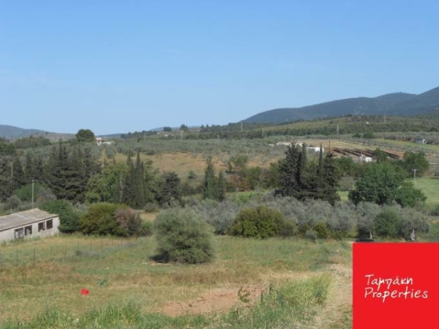 Super Ευκαιρία !!! (Προς Πώληση) Αξιοποιήσιμη Γη Οικόπεδο || Ν. Κορινθίας/Τενέα - 1.394τ.μ, 20.000€ 