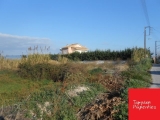 slide1 thumbnail