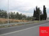 slide1 thumbnail