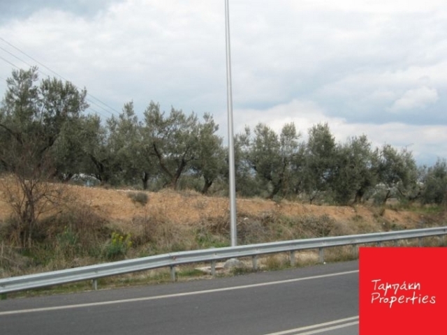 (For Sale) Land/Agricultural Land  || Korinthia/Korinthia - 4.330,00Sq.m, 120.000€ 