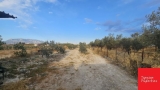 slide1 thumbnail
