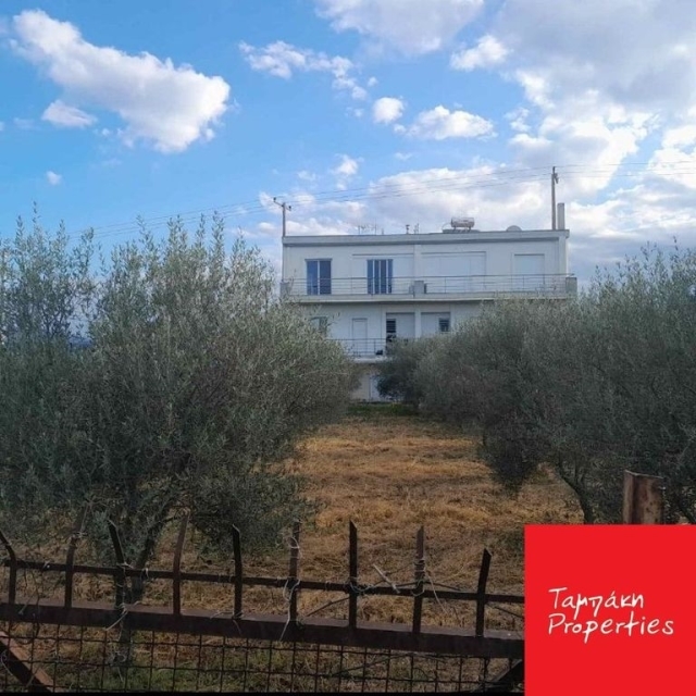 (For Sale) Land Plot || Korinthia/Assos-Lechaio - 471 Sq.m, 38.000€ 