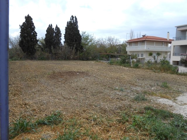 (For Sale) Land Plot || Korinthia/Assos-Lechaio - 703,00Sq.m, 125.000€ 
