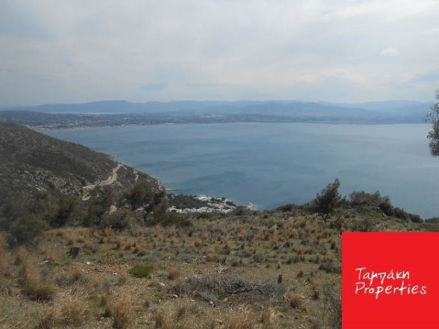 (For Sale) Land Agricultural Land  || Korinthia/Loutraki-Perachora - 4.904Sq.m, 350.000€ 