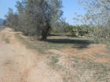 slide1 thumbnail