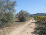 slide1 thumbnail