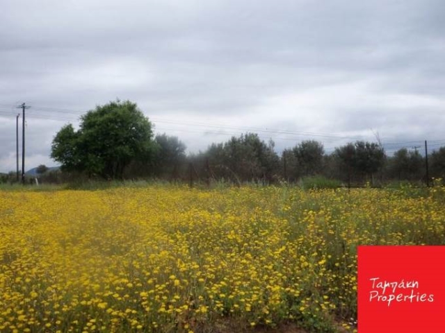 (For Sale) Land/Plot || Korinthia/Korinthia - 296,20Sq.m, 50.000€ 