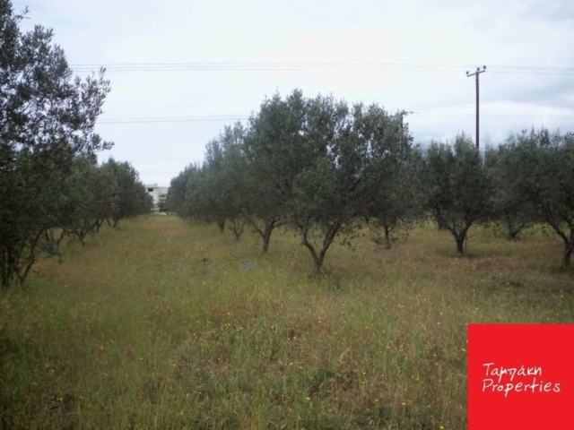 (For Sale) Land/Plot || Korinthia/Korinthia - 344,27Sq.m, 58.000€ 